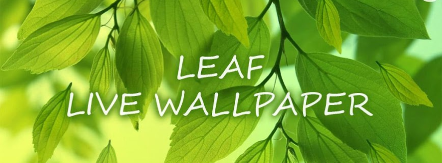 Leaf Live Wallpaper