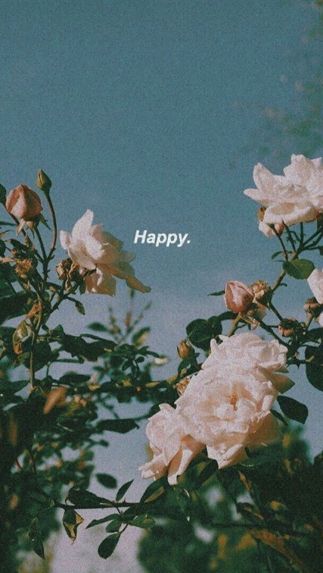 aesthetic background APK screenshot