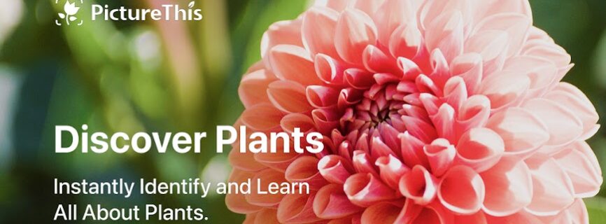 PictureThis – Plant Identifier